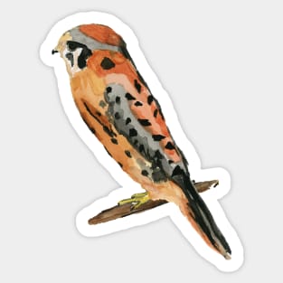 Owl. Watercolor Painting Sticker